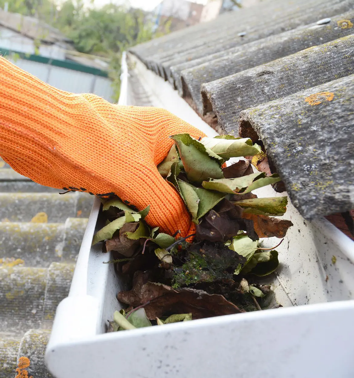 Gutter cleaning