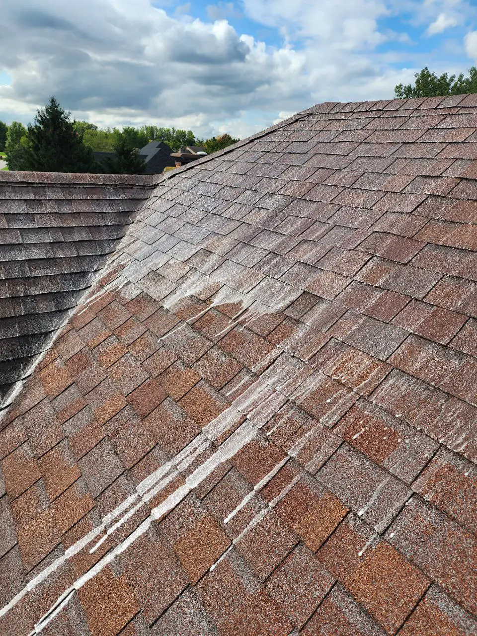 Roof soft washing
